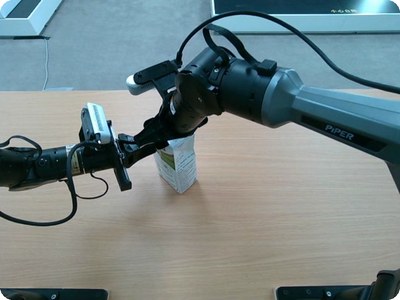 Dual arm
